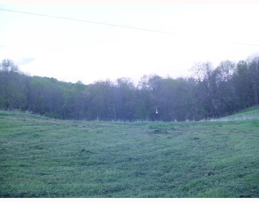 241 Miller Road Aleppo, PA 15310 - Photo 2 of 6 Land.