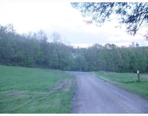 241 Miller Road Aleppo, PA 15310 - Photo 3 of 6 Land.