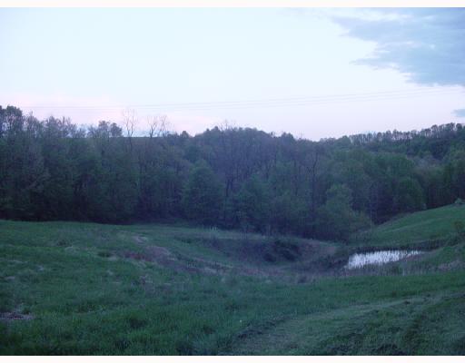 241 Miller Road Aleppo, PA 15310 - Photo 4 of 6 Land.