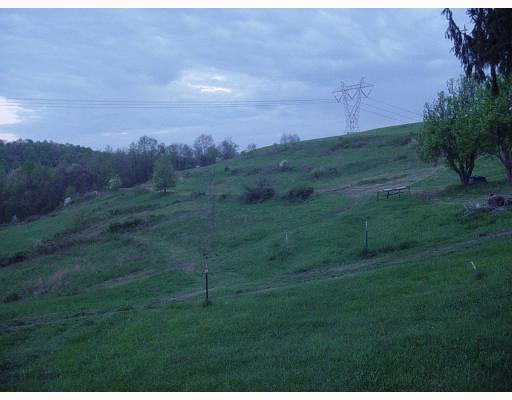 241 Miller Road Aleppo, PA 15310 - Photo 5 of 6 Land/Lot.