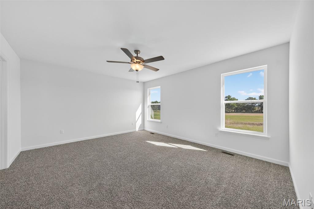 108 Tick Road Silex, MO 63377 - Photo 18 of 48