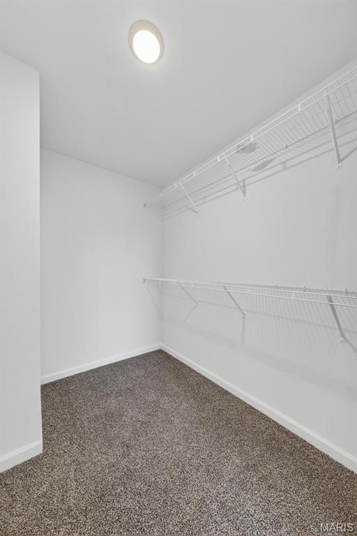 108 Tick Road Silex, MO 63377 - Photo 21 of 48