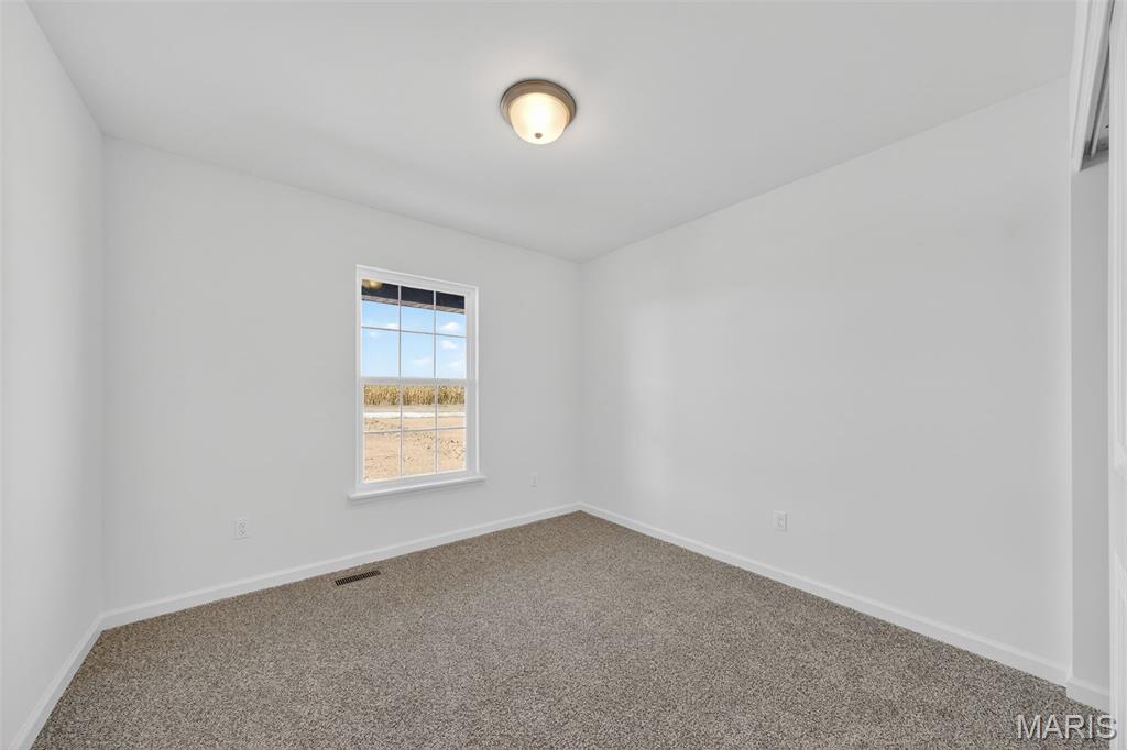 108 Tick Road Silex, MO 63377 - Photo 28 of 48