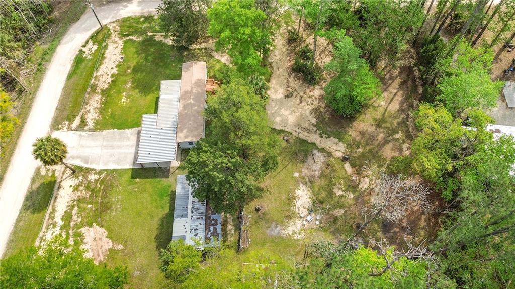 3650 176 Place Inglis, FL 34449 - Photo 5 of 49 a view of a yard