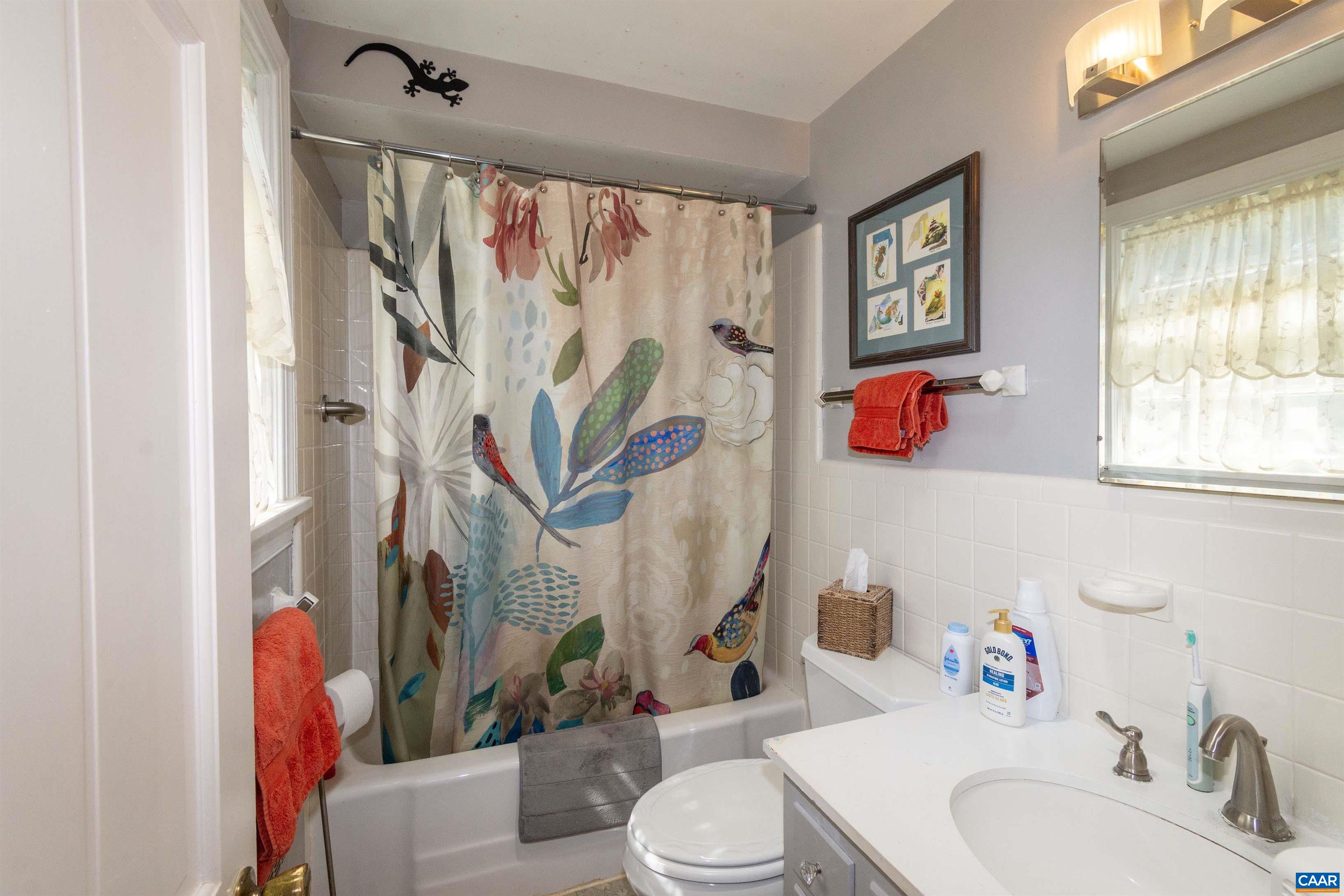 358 East Main Street Orange, VA 22960 - Photo 33 of 56 a bathroom with a sink toilet and window