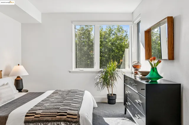 a bedroom with a bed a couch and potted plant
