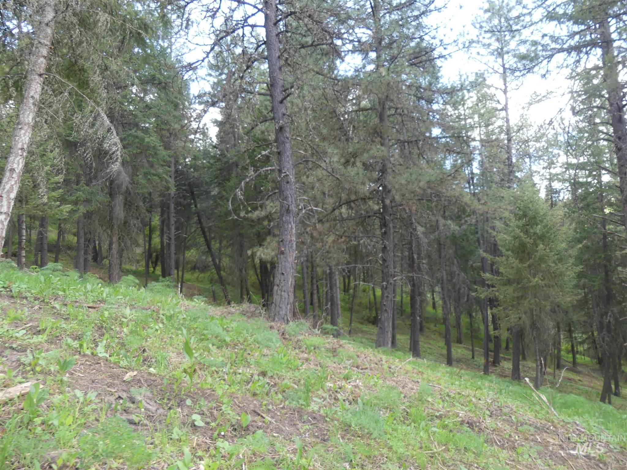 22743 Old Melrose Grade Road Peck, ID 83545 - Photo 27 of 45