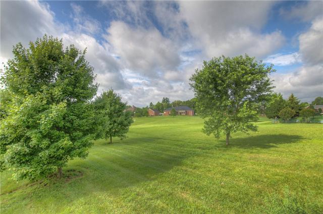 1013 Nuway Road Pleasant View, TN 37146 - Photo 19 of 20 Beautiful back yard ready for endless possibilities