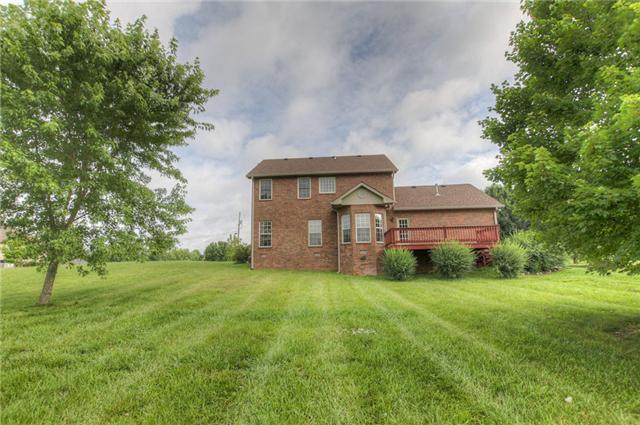 Large level back yard with room for pool, play ground or just relax