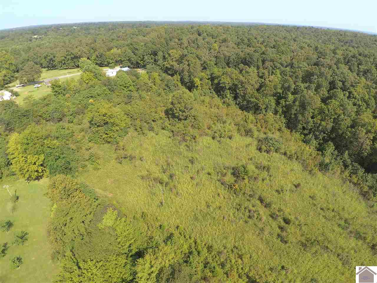 0 Morris Drive Grand Rivers, KY 42045 - Photo 1 of 1 Photo 1