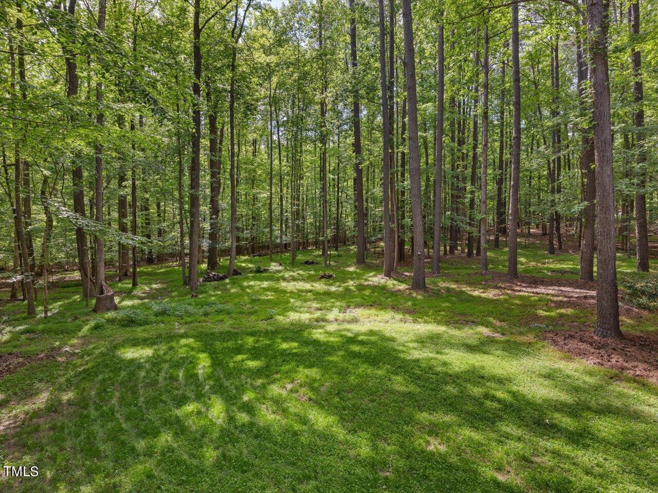 10609 Chinkapin Place Raleigh, NC 27613 - Photo 32 of 78 32-Backyard