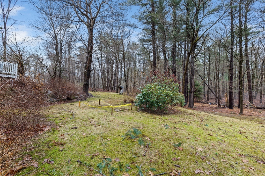 58 Lakeview Road Foxboro, MA 02035 - Photo 31 of 42 a view of a backyard with large trees
