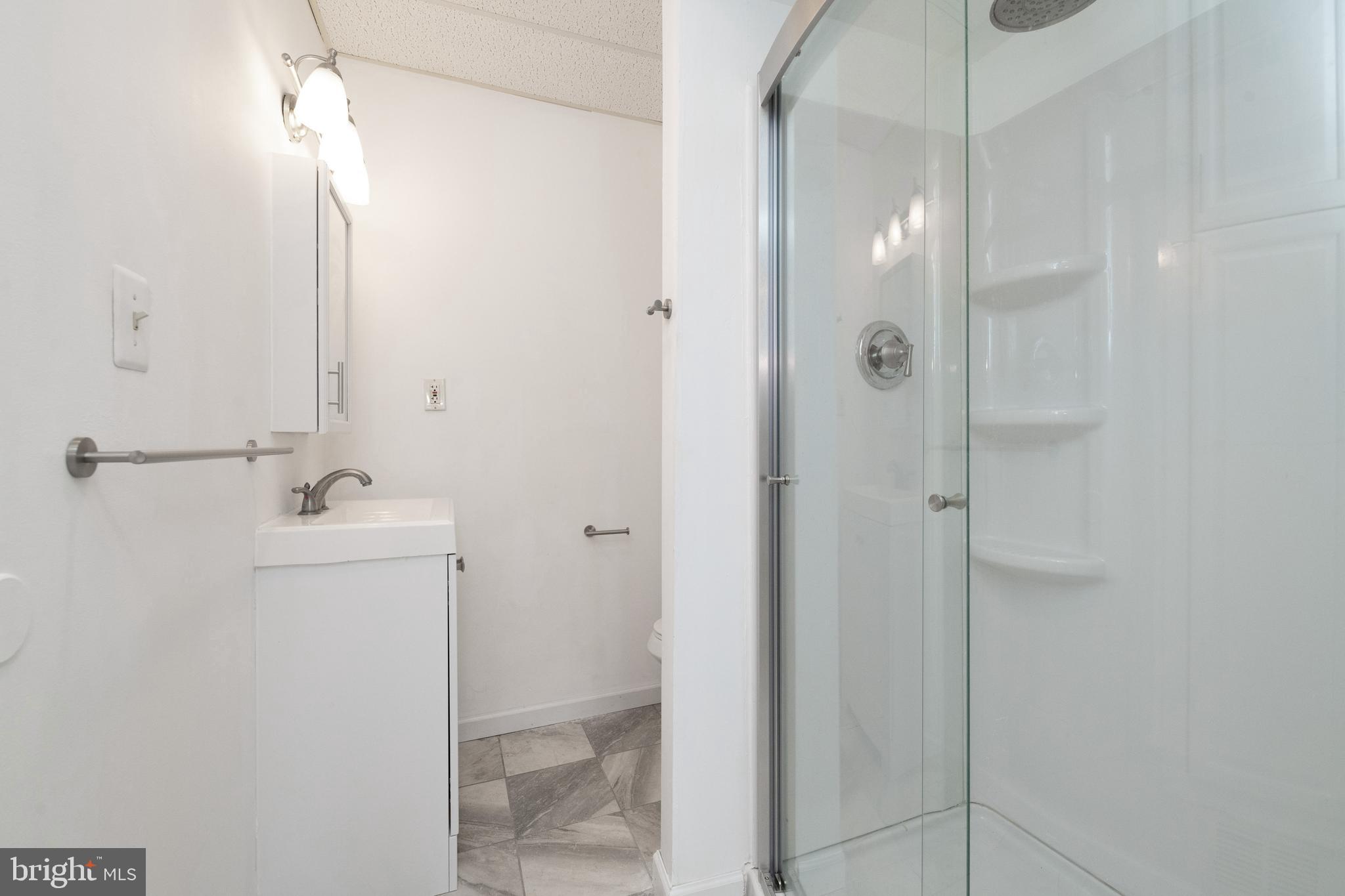 2313 Jerrys Road Street, MD 21154 - Photo 12 of 32 Owner's suite bathroom