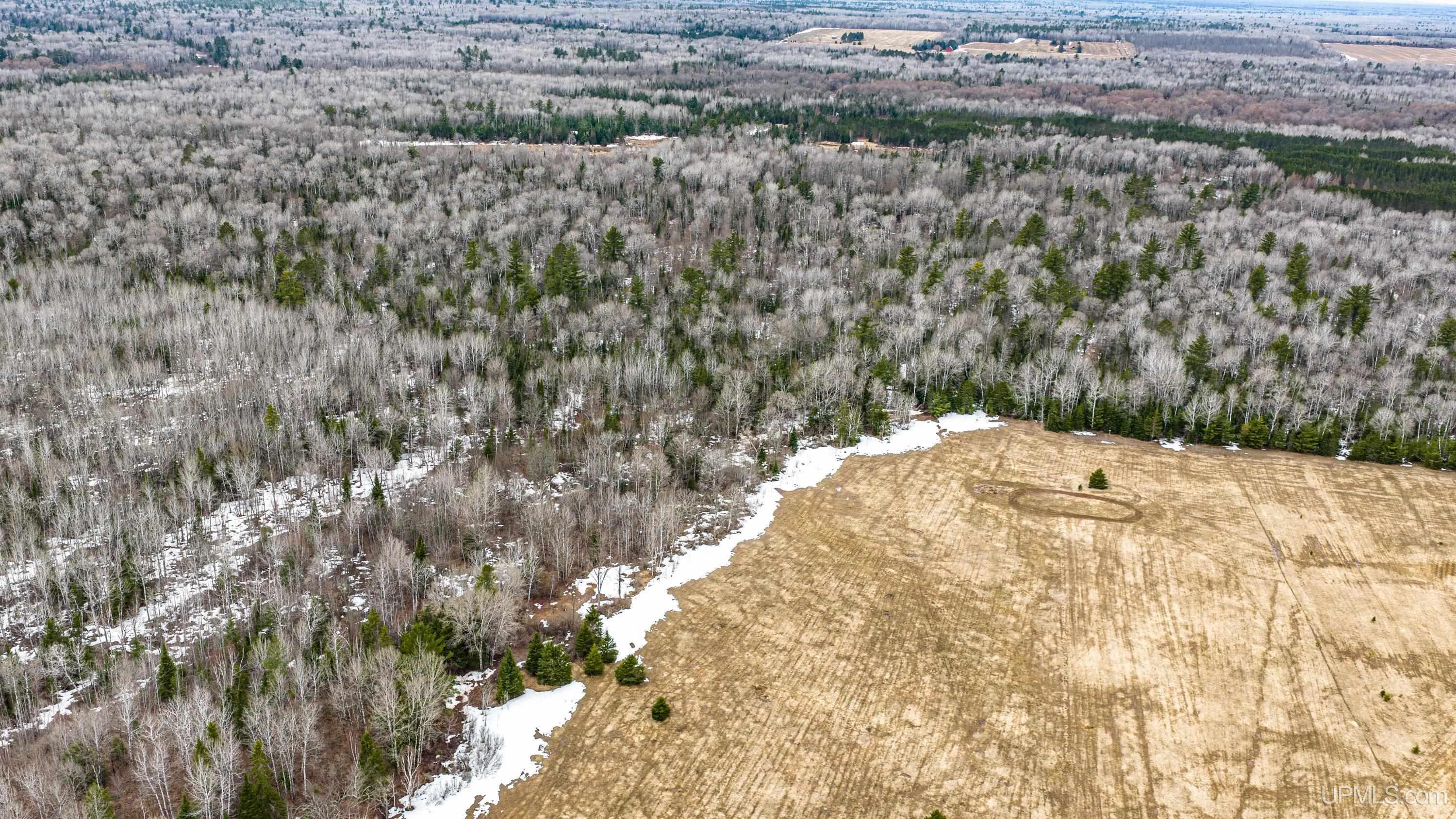 Tbd Off Of Choate Road, Unit NO INSURABLE LEGAL ACCESS Ewen, MI 49925 - Photo 4 of 30