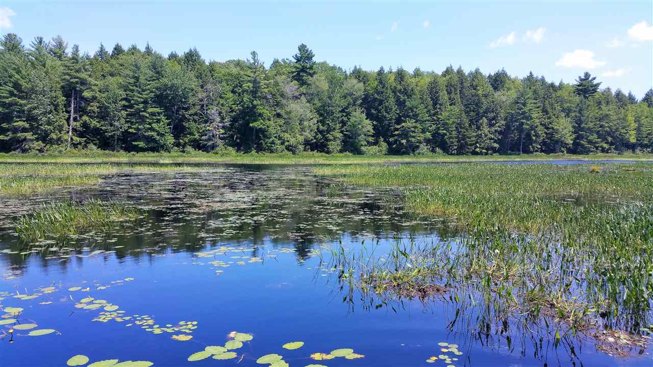 543 Royalston Road Fitzwilliam, NH 03447 - Photo 38 of 40
