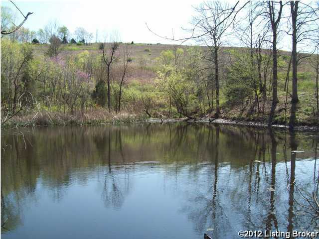 0 Jolertown Road Jetson, KY 42252 - Photo 1 of 9 Primary Photo