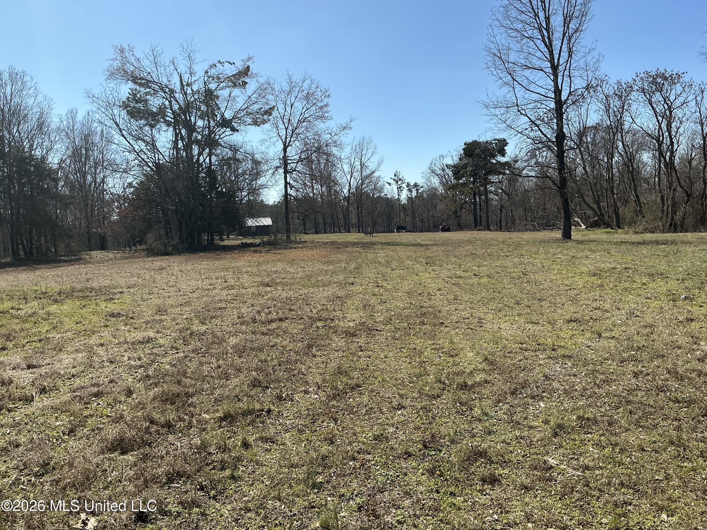 Norwood Road Carrollton, MS 38917 - Photo 5 of 28 IMG_0674