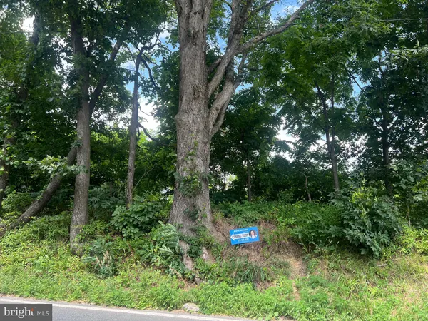 a view of a backyard with a barn and large trees