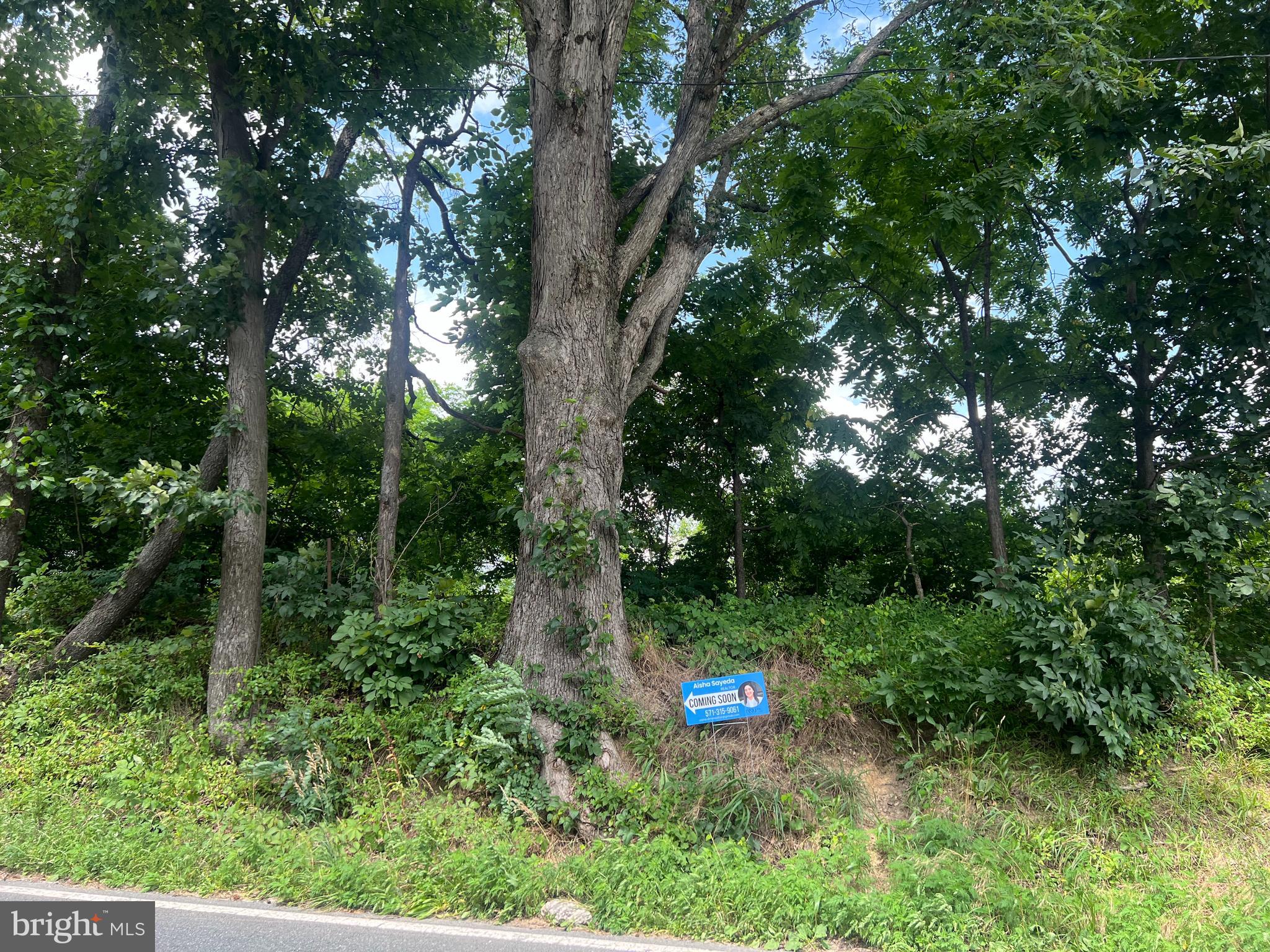 a view of a backyard with a barn and large trees