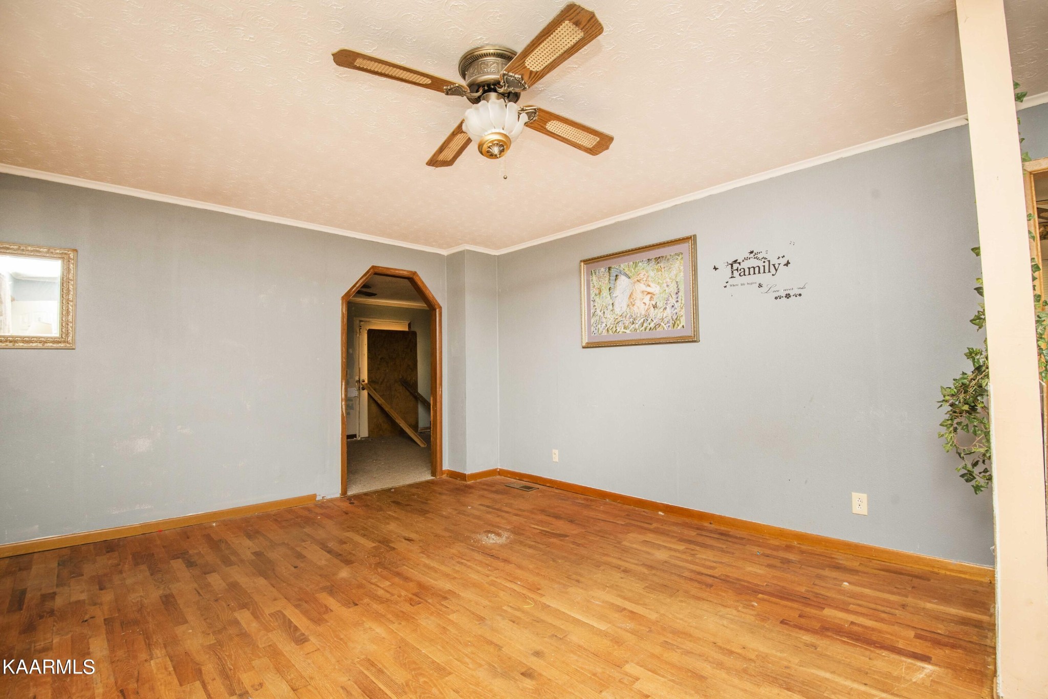 2901 Shipe Road Mascot, TN 37806 - Photo 13 of 42 Gallery Image 13