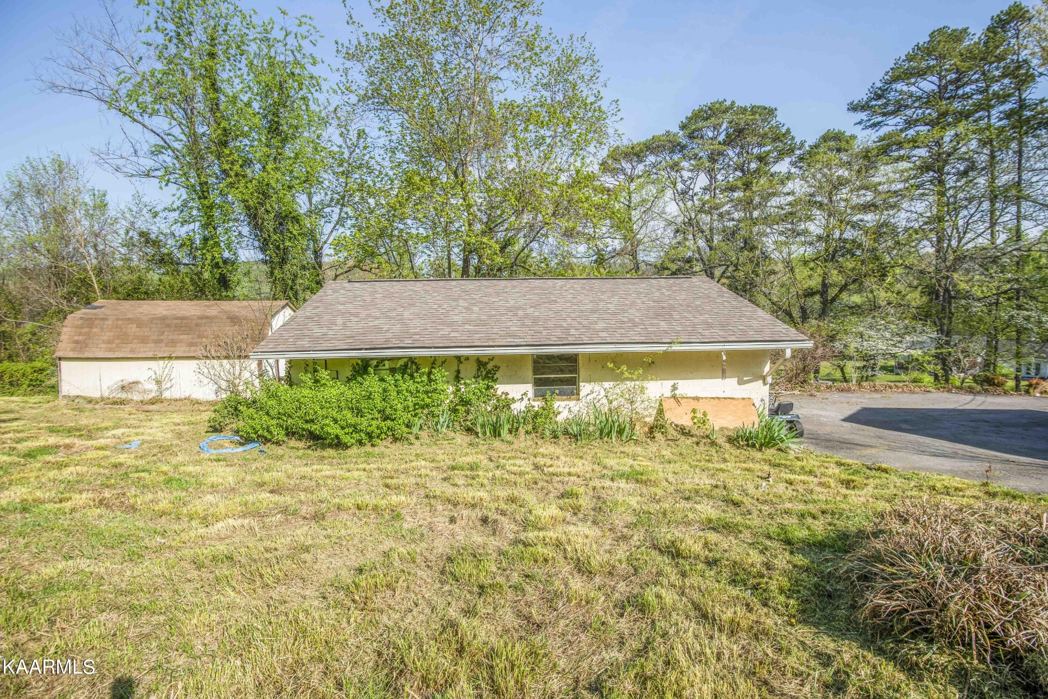 2901 Shipe Road Mascot, TN 37806 - Photo 8 of 42 Gallery Image 8