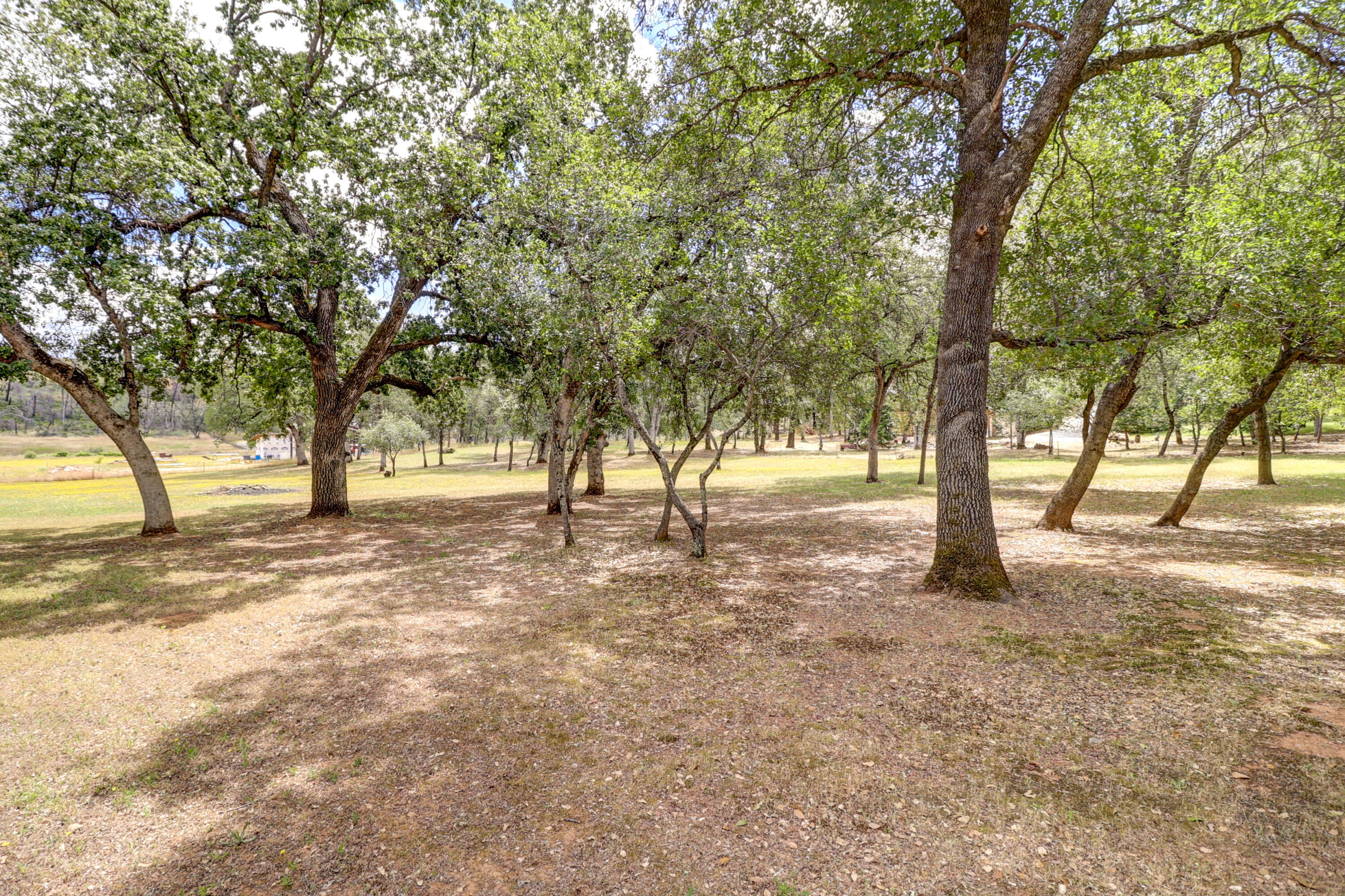 13596 Quarry View Road Redding, CA 96003 - Photo 51 of 57 54-IMG_0515_6_7_8_9