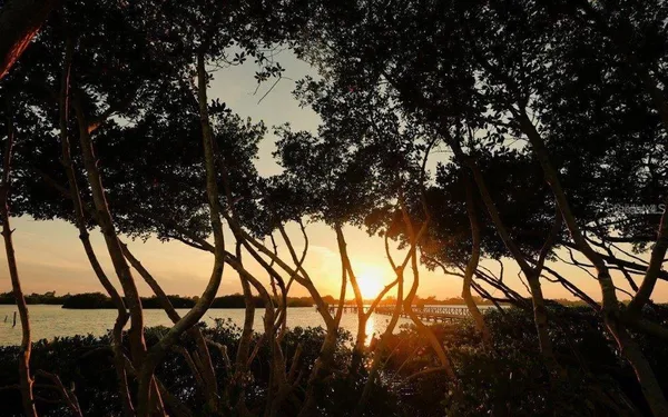 $3,250,000 | 14401 Masthead Drive, Osprey, FL 34229