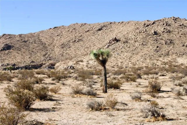 a view of a snow on the top of a building
