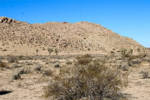 a street sign on a sidewalk next to a road