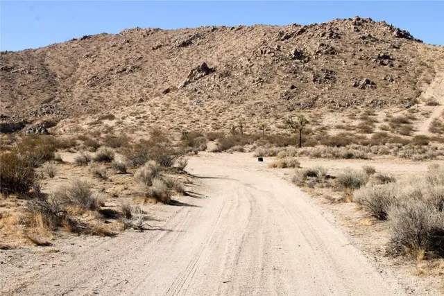 a view of a dry field