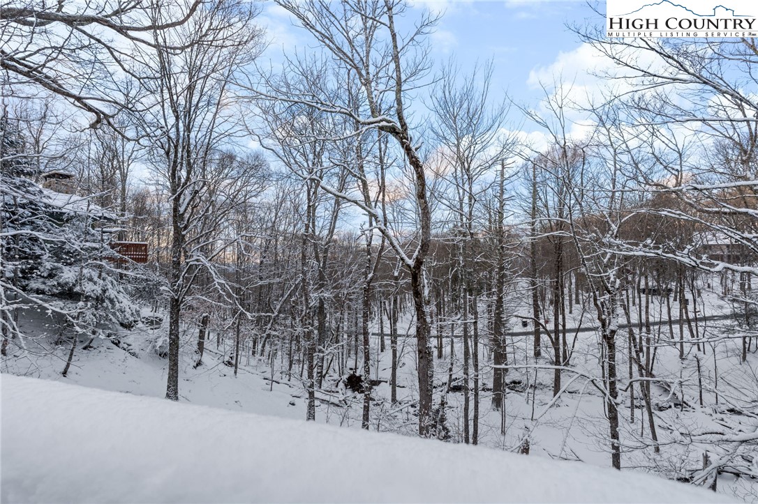 905 Charter Hills Road Beech Mountain, NC 28604 - Photo 29 of 33