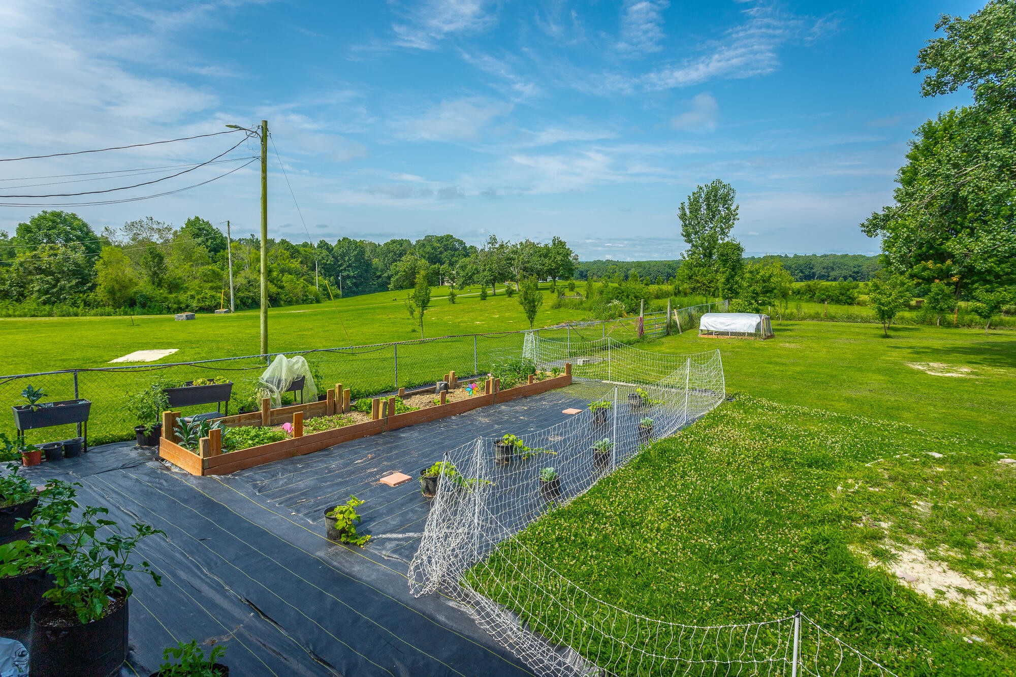 2195 Myers Road Pikeville, TN 37367 - Photo 76 of 100