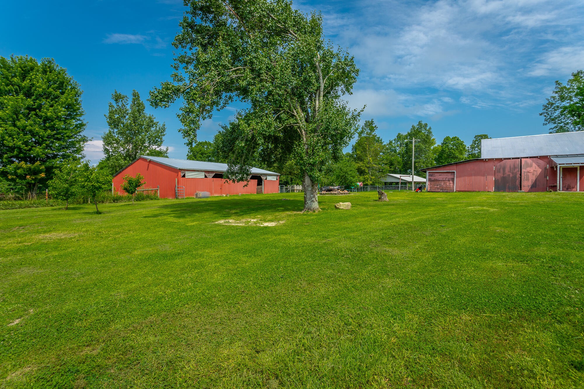2195 Myers Road Pikeville, TN 37367 - Photo 77 of 100 a view of yard with swimming pool and green space