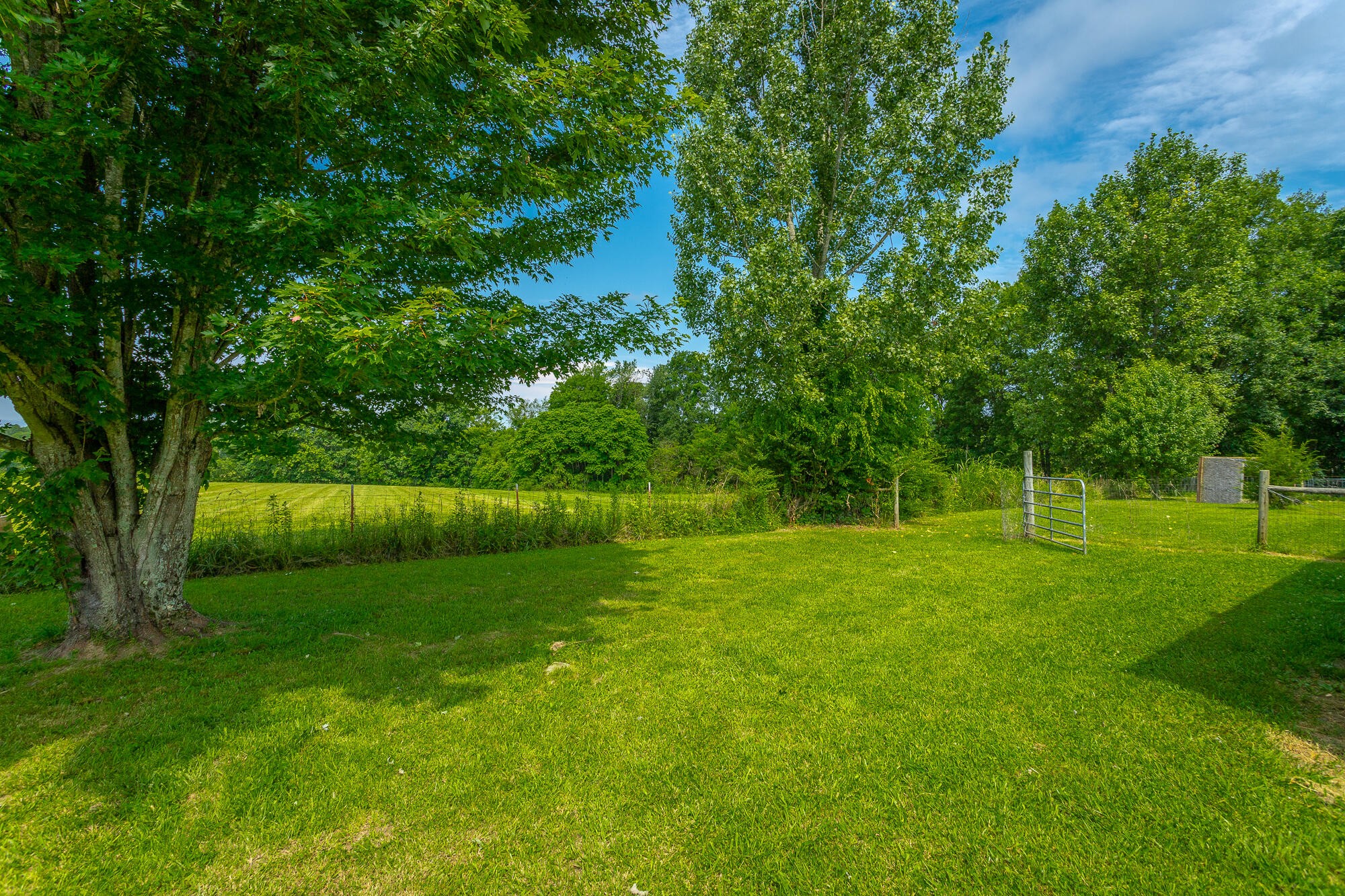 2195 Myers Road Pikeville, TN 37367 - Photo 92 of 100 a view of an outdoor space and a yard