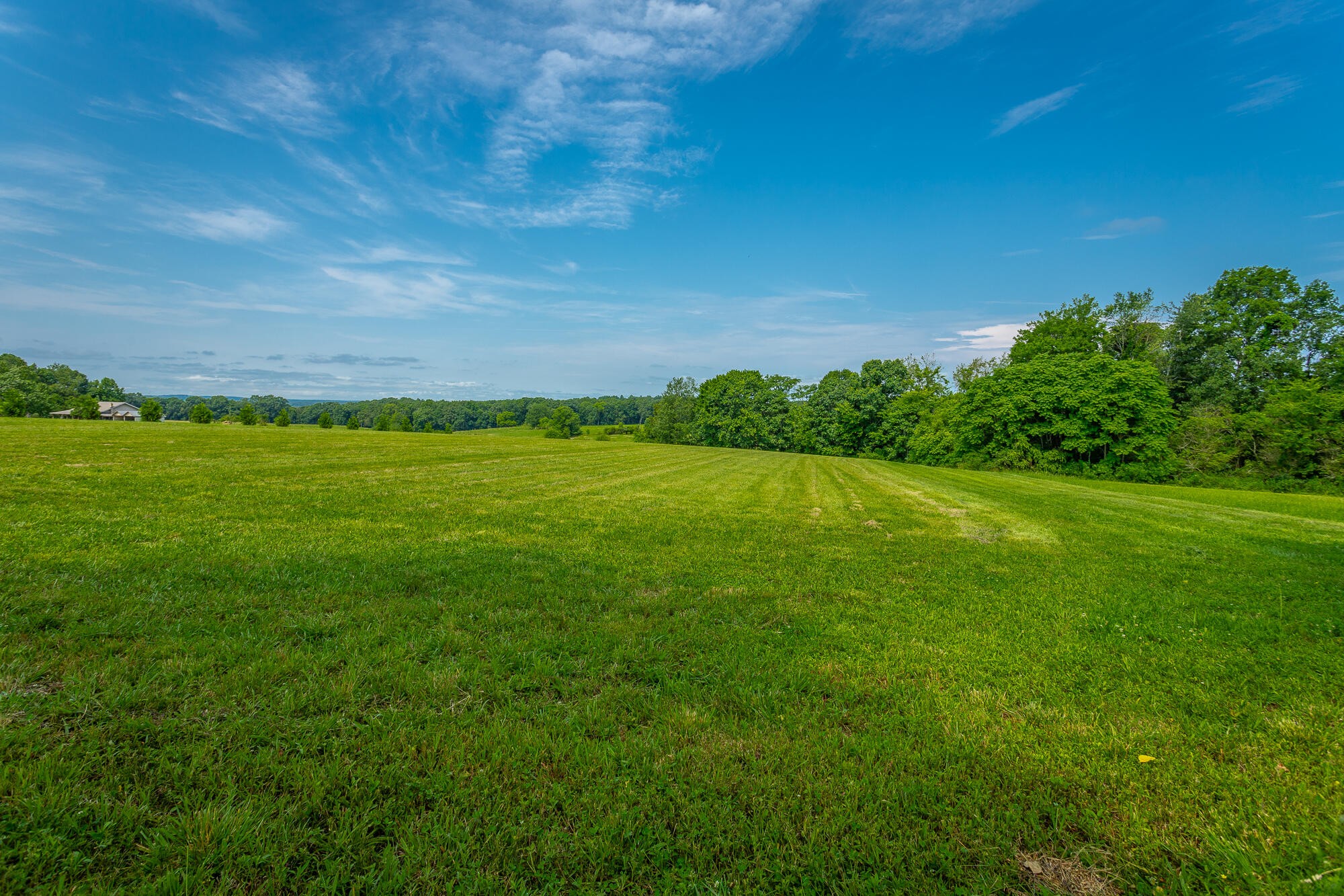 2195 Myers Road Pikeville, TN 37367 - Photo 93 of 100 a view of a big yard with a house in the background
