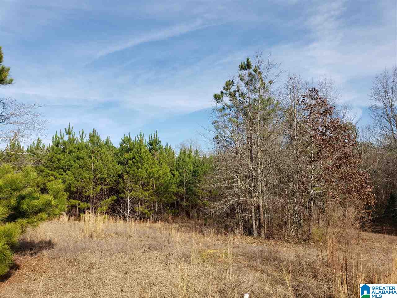 1430 Dripping Rock Road Piedmont, AL 36272 - Photo 24 of 41