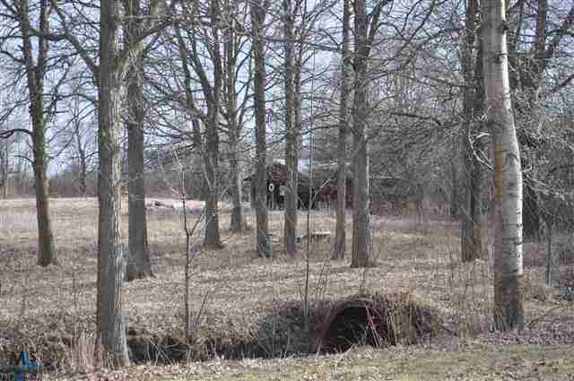 9809 Sparling Road Goodells, MI 48027 - Photo 15 of 18 31142042-14.JPG