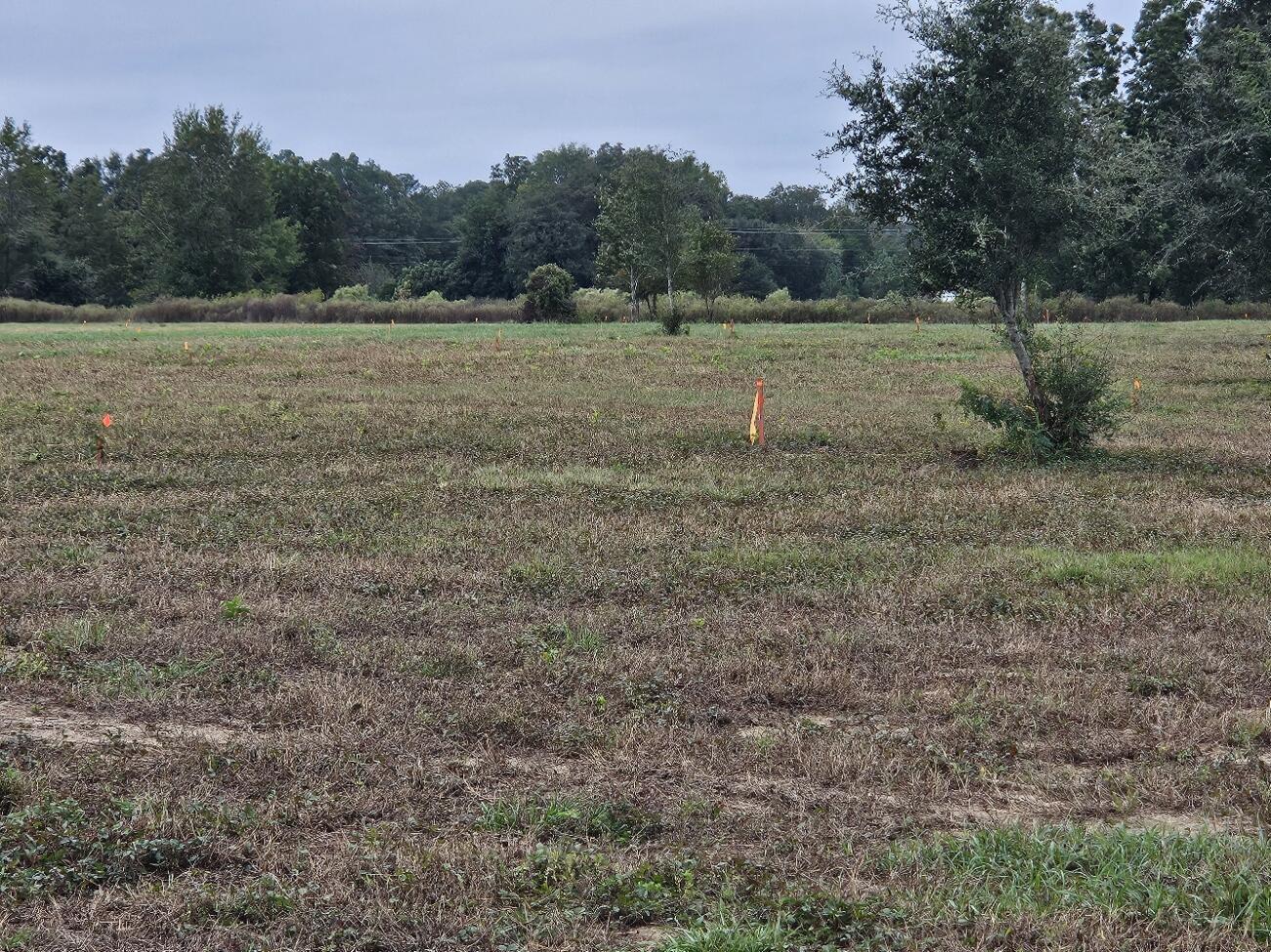 0 Tee Vee Road Elloree, SC 29047 - Photo 11 of 19 RV8