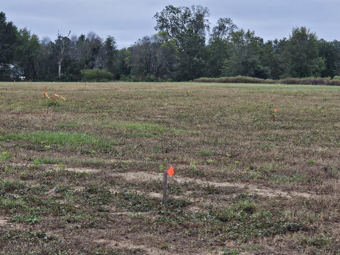 0 Tee Vee Road Elloree, SC 29047 - Photo 12 of 19 RV9