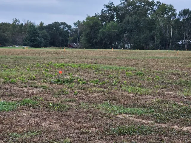 $900,000 | 0 Tee Vee Road, Elloree, SC 29047