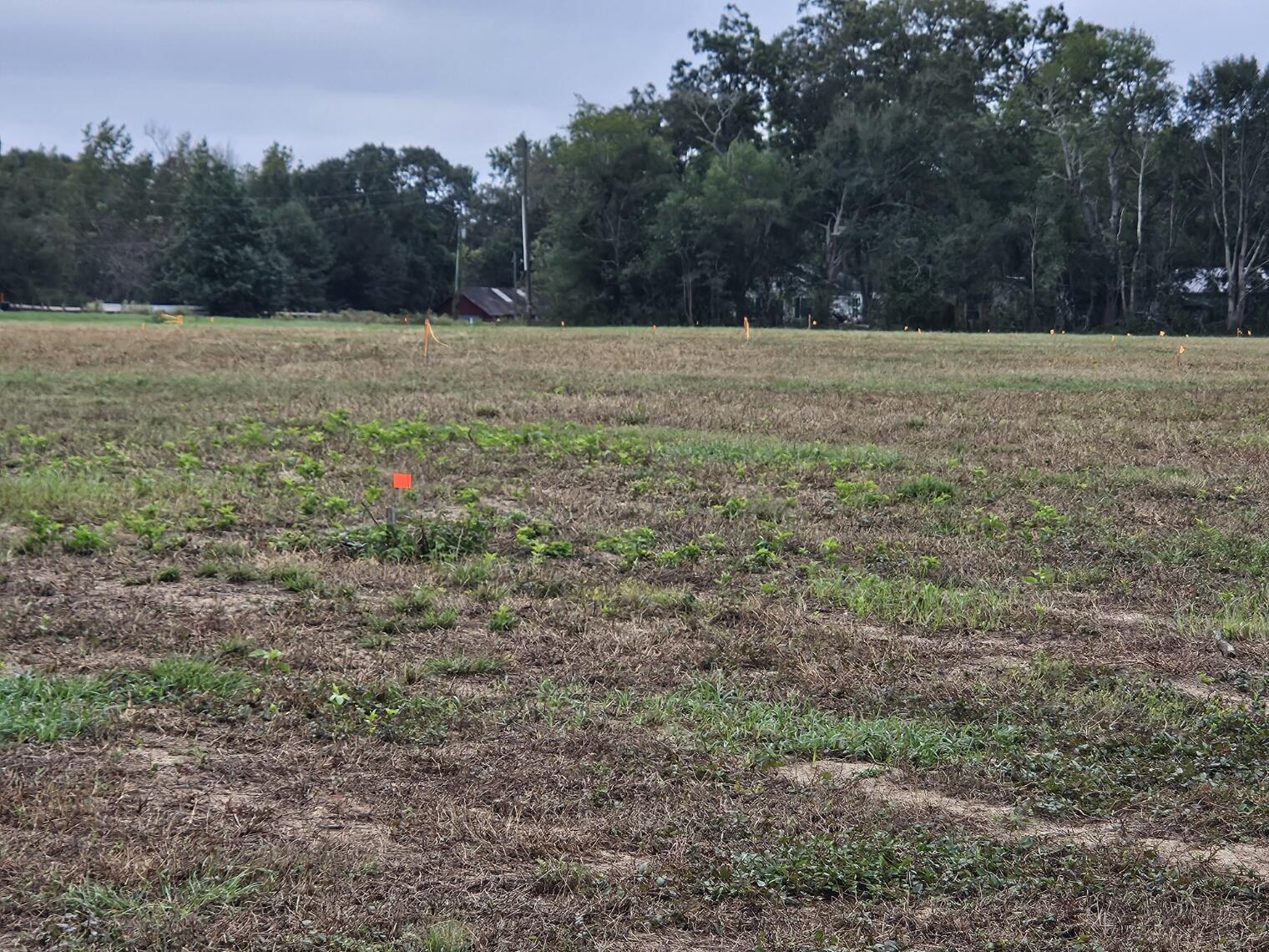 0 Tee Vee Road Elloree, SC 29047 - Photo 13 of 19 RV10