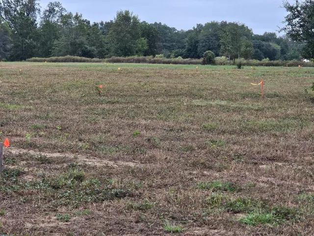 $900,000 | 0 Tee Vee Road, Elloree, SC 29047