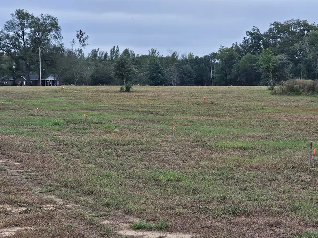 $900,000 | 0 Tee Vee Road, Elloree, SC 29047