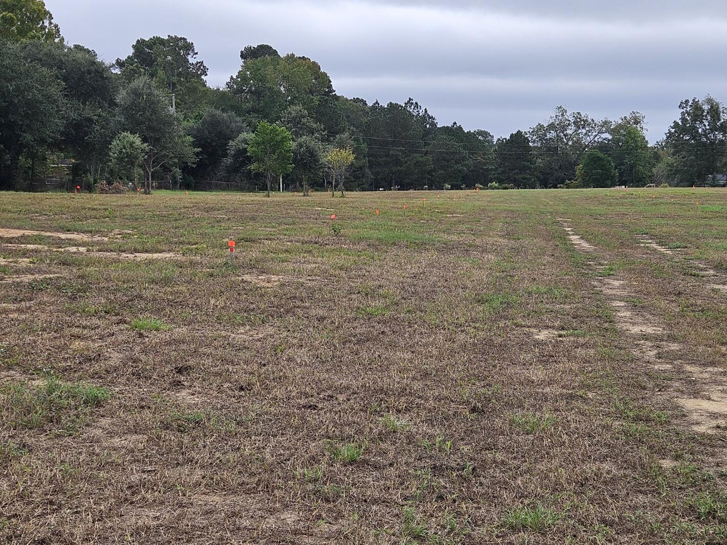 0 Tee Vee Road Elloree, SC 29047 - Photo 16 of 19 RV13