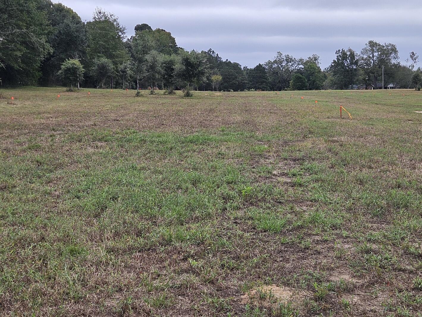 0 Tee Vee Road Elloree, SC 29047 - Photo 17 of 19 RV14