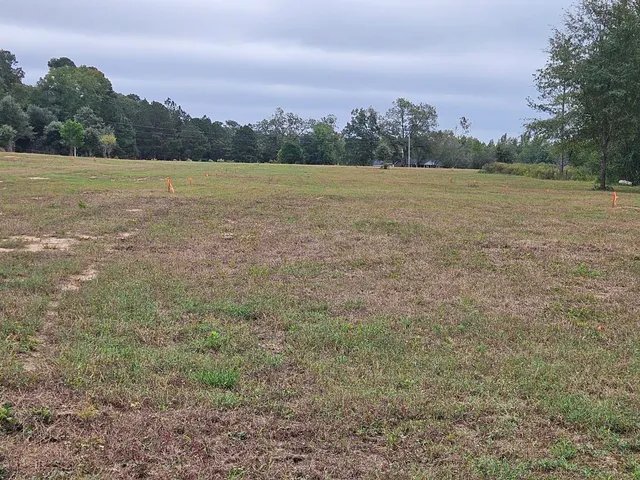 $900,000 | 0 Tee Vee Road, Elloree, SC 29047