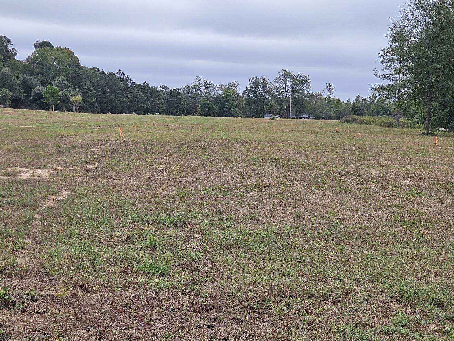 0 Tee Vee Road Elloree, SC 29047 - Photo 18 of 19 RV15