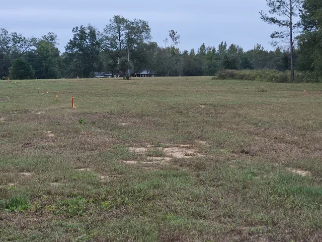 $900,000 | 0 Tee Vee Road, Elloree, SC 29047