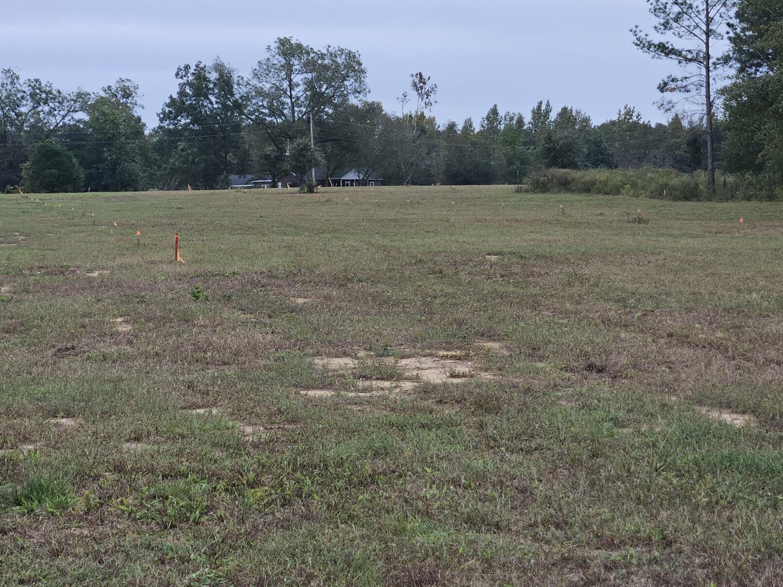 0 Tee Vee Road Elloree, SC 29047 - Photo 19 of 19 RV16