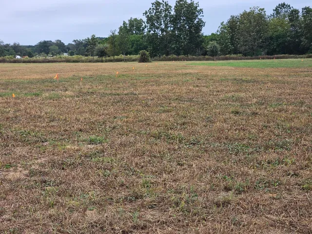 $900,000 | 0 Tee Vee Road, Elloree, SC 29047